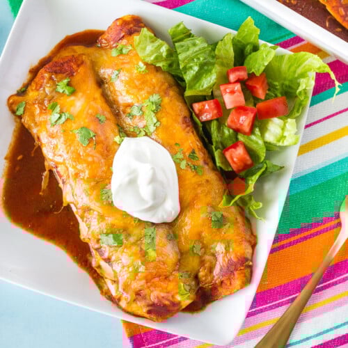 Top view of Enchiladas with Homemade Enchilada Sauce.