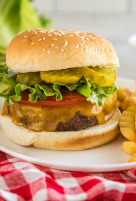 An air fryer hamburger on a plate with fries