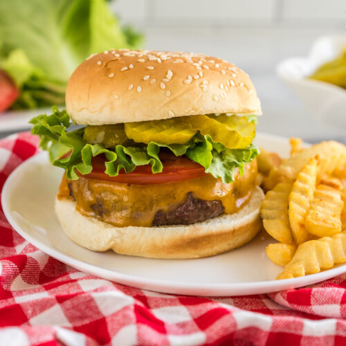 An air fryer hamburger on a plate with fries