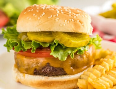 An air fryer hamburger on a plate with fries