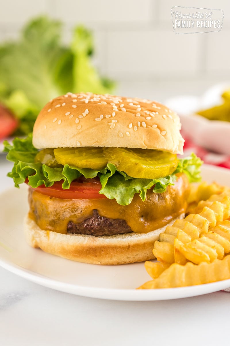 An air fryer hamburger on a plate with fries.