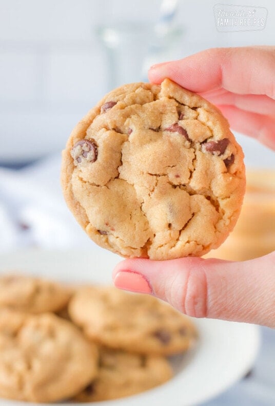 Close of of a hand holding one Peanut Butter Chocolate Chip Cookie.