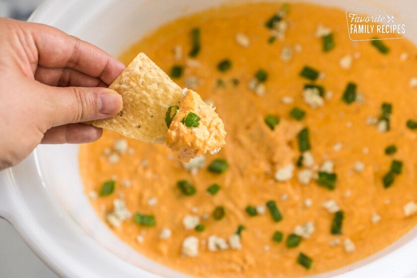 A chip dipped in buffalo chicken dip