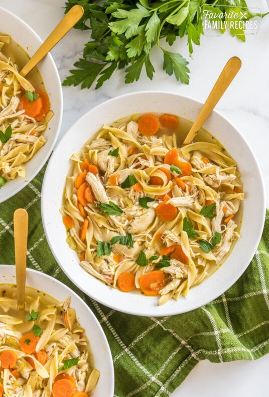 A bowl of chicken noodle soup with a spoon.