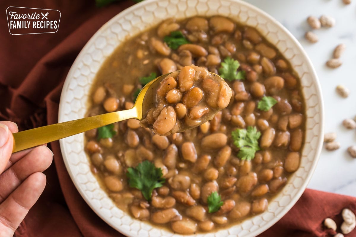 A spoonful of pinto beans topped with cilantro.