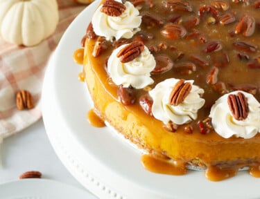 Side view of a whole Pumpkin Cheesecake with caramel pecan topping.