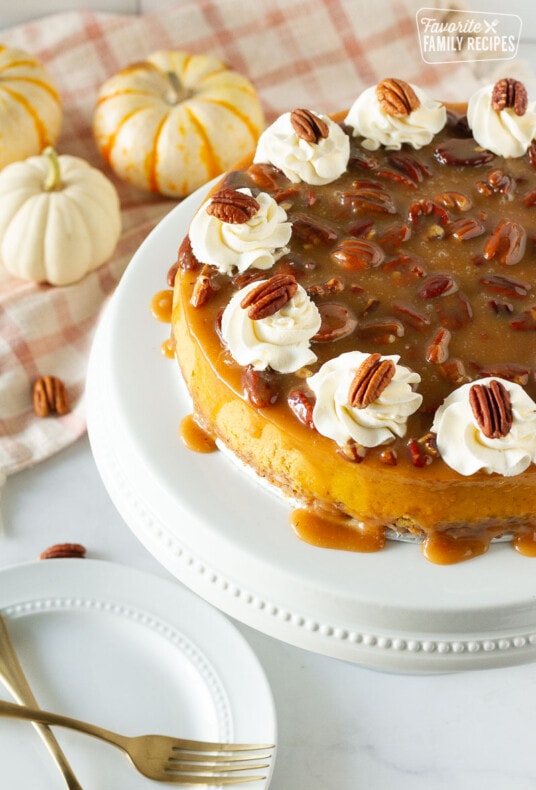 Side view of a whole Pumpkin Cheesecake with caramel pecan topping.