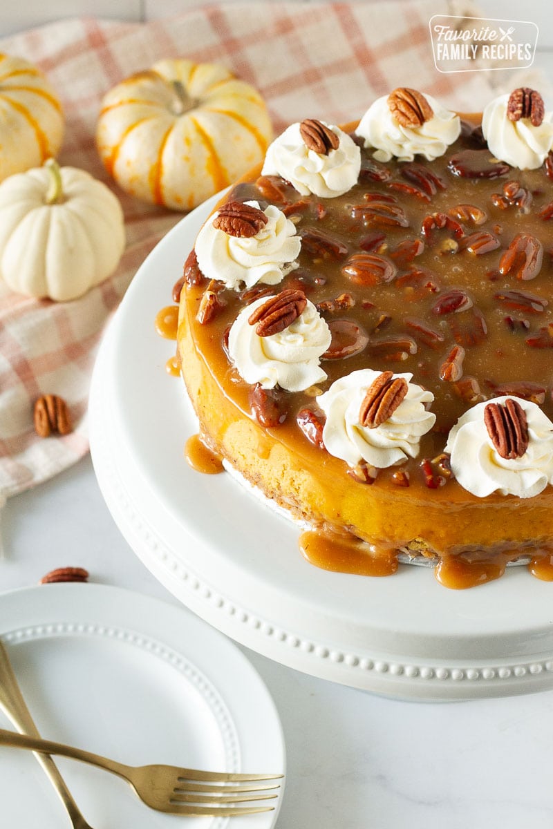 Side view of a whole Pumpkin Cheesecake with caramel pecan topping.