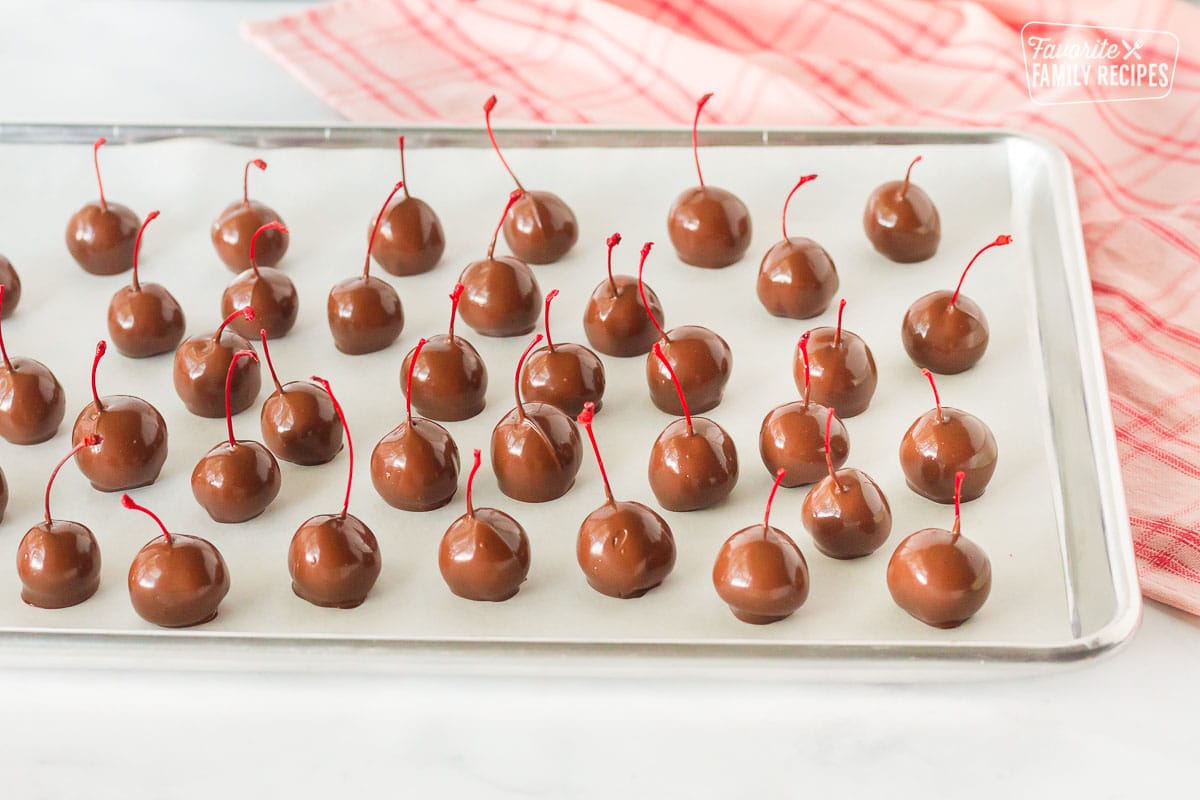 Tray of freshly dipped Chocolate Covered Cherries.