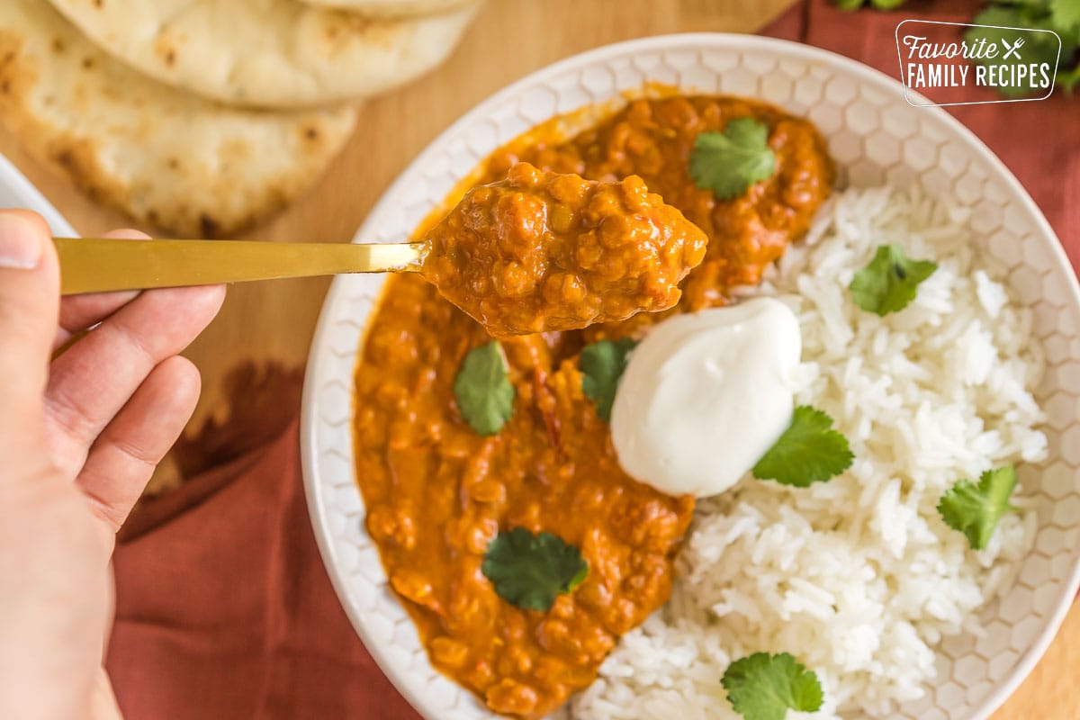 A spoonful of vegan lentil curry.