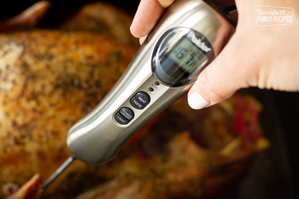 Hand holding digital meat thermometer for How to Cook a Turkey instructions.
