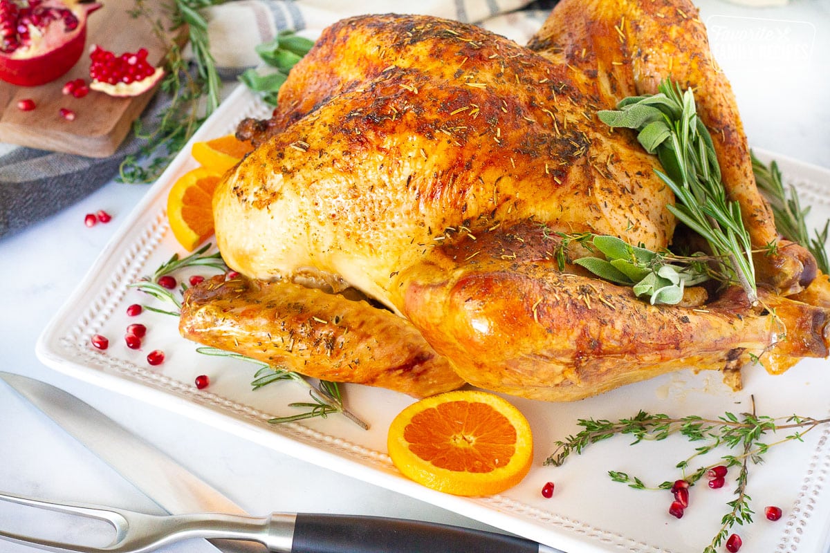 https://www.favfamilyrecipes.com/wp-content/uploads/2022/10/Side-view-of-plattered-turkey-How-to-Cook-a-Turkey.jpg
