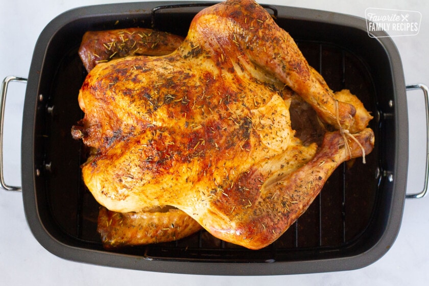 Top view of cooked Turkey in a roasting pan for How to Cook a Turkey.