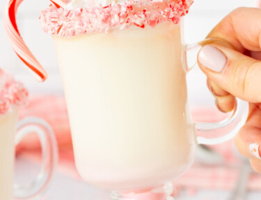Hand holding a mug of Peppermint Hot Chocolate with candy canes.