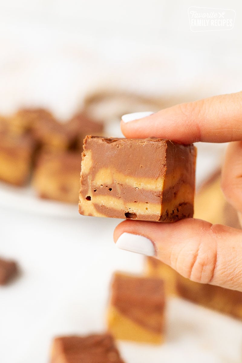 Hand holding a piece of Hand holding piece of Chocolate Peanut Butter Fudge.