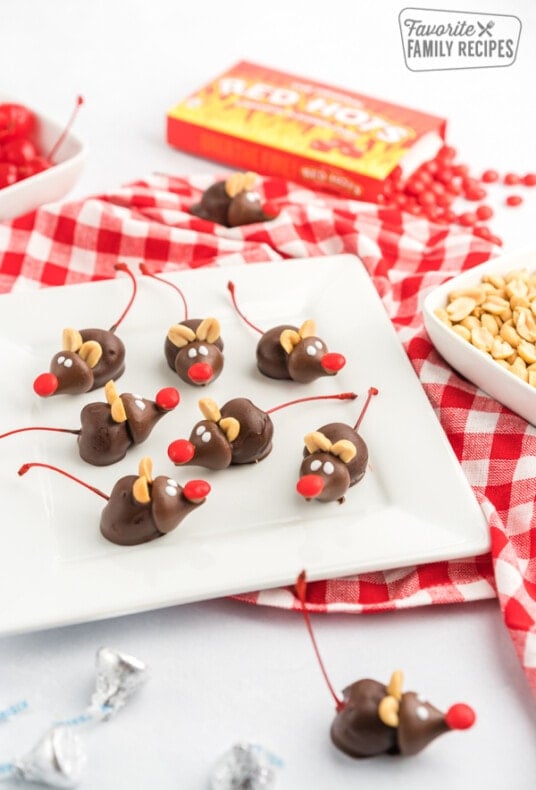 Chocolate mice on a plate