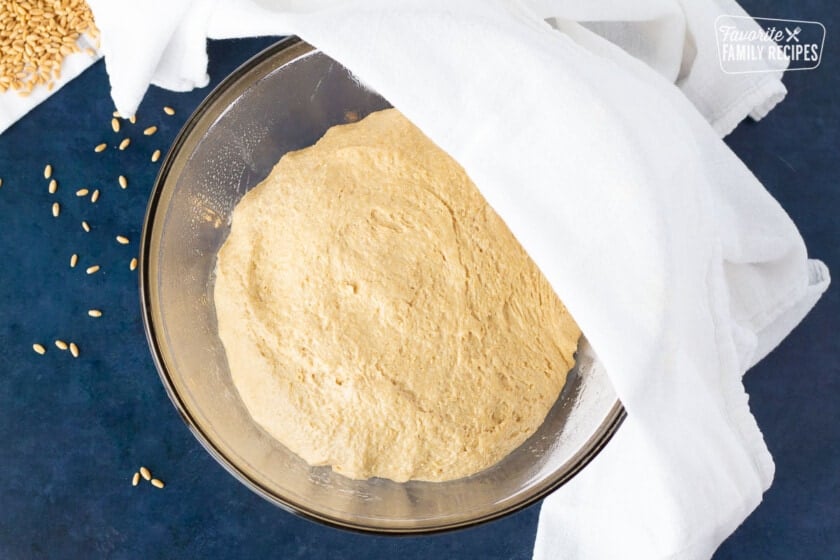 Bowl of rising Honey Whole Wheat Bread bread covered in a linen.