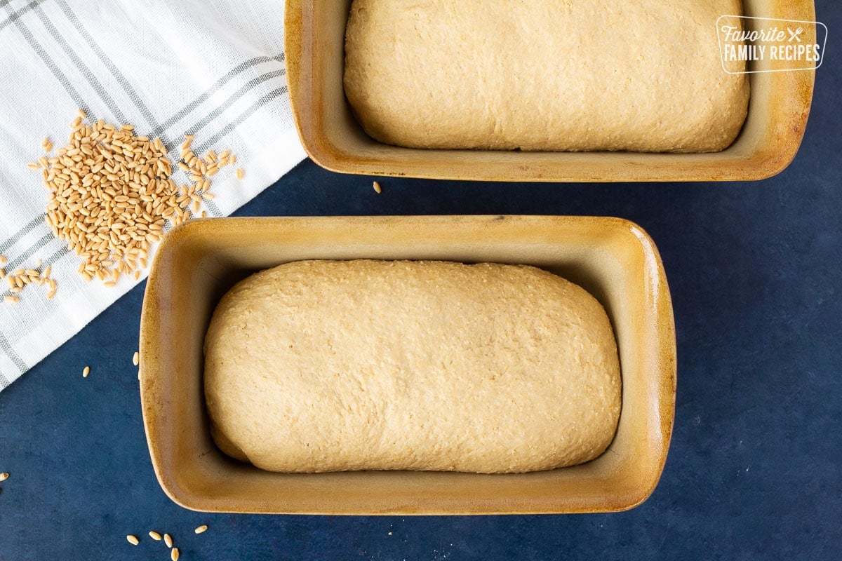 Two bread dished with shaped Honey Whole Wheat Bread.