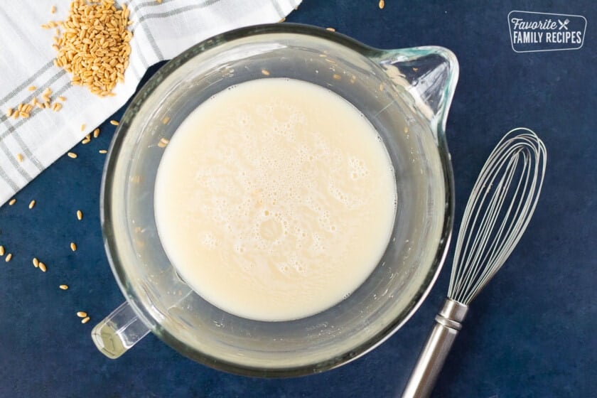 Bowl of yeast and water for Honey Whole Wheat Bread.