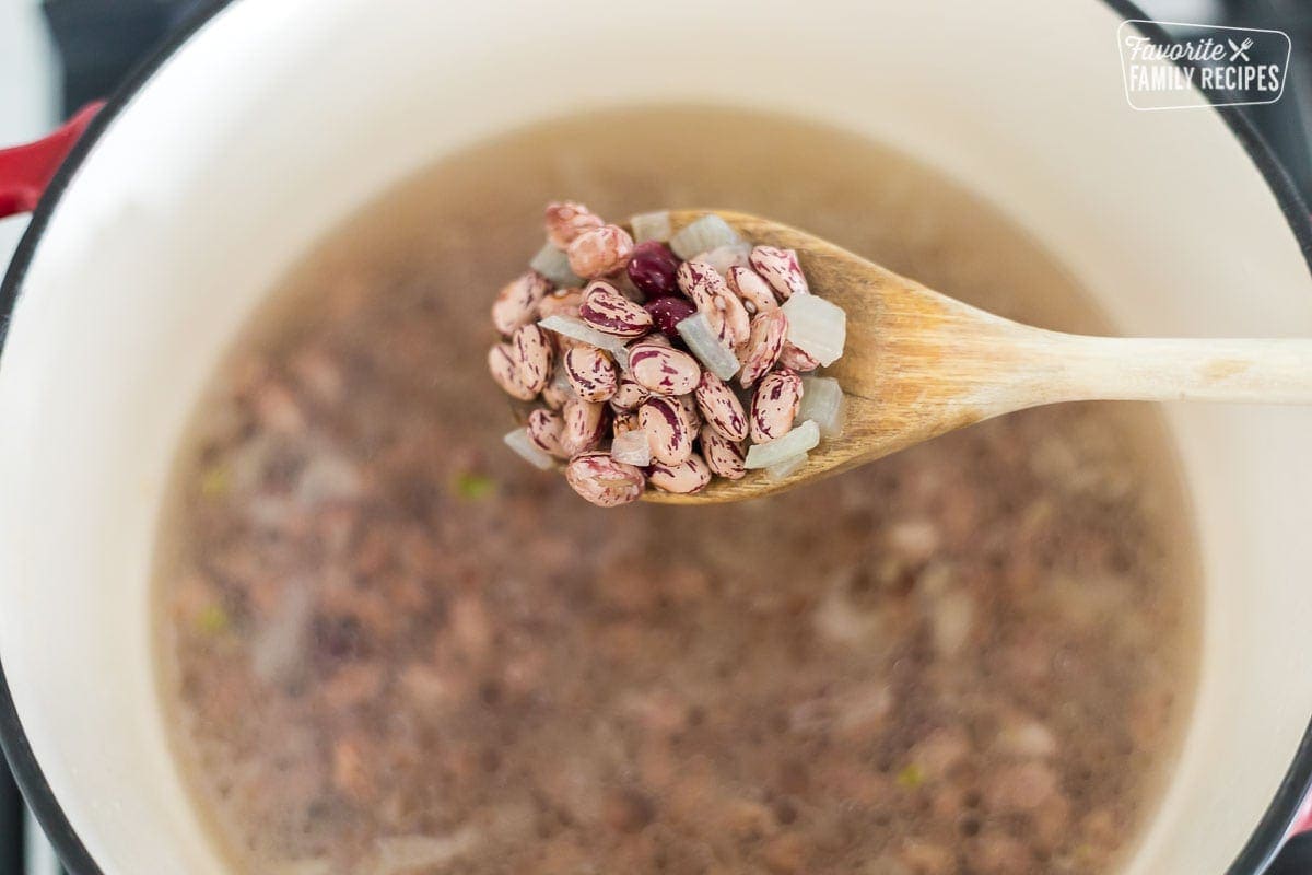 A spoonful of dried pinto beans.