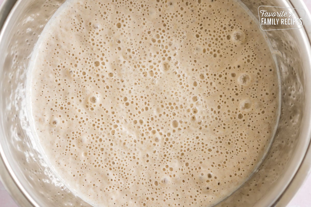 Overnight sponge for sourdough pancakes