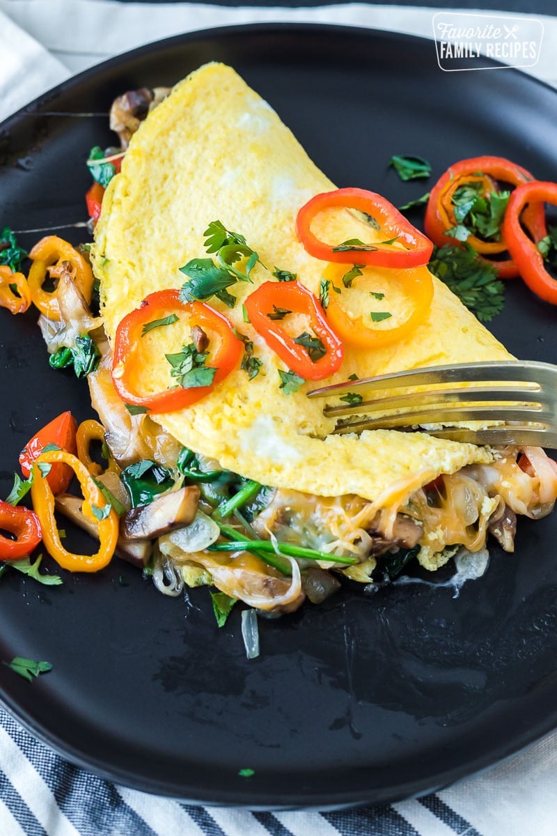 https://www.favfamilyrecipes.com/wp-content/uploads/2023/01/Veggie-Omelettes.jpg