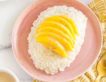 Mango Sticky Rice on a pink plate