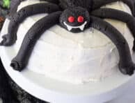Spider cake on a cake stand.