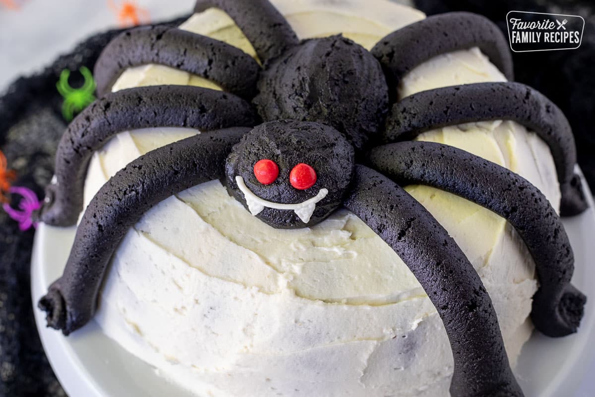 Close up of Spider Cake face.