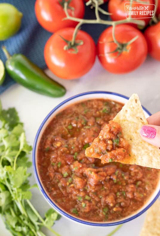 Hand holding a chip with Homemade Salsa.