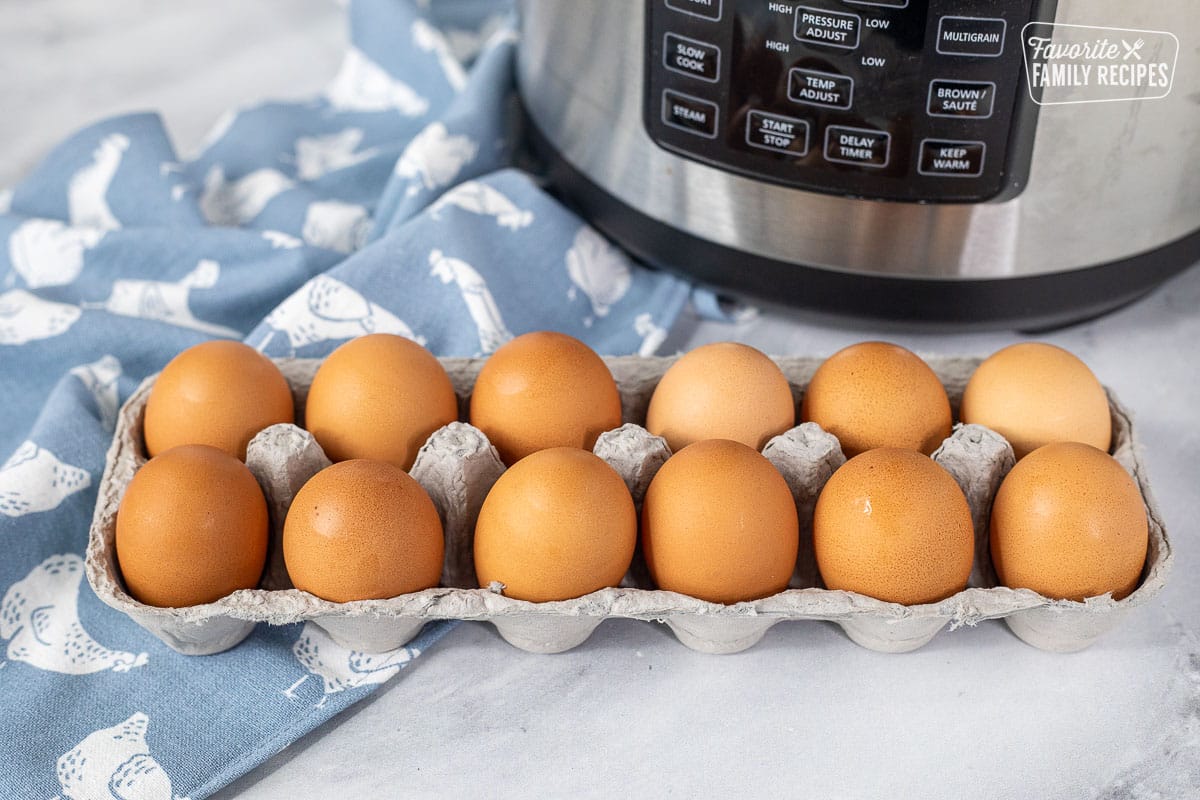 Instant Pot Boiled Egg ingredients including twelve brown eggs and an instant pot.