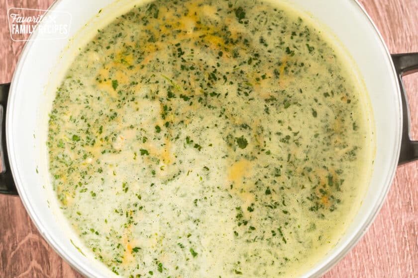 chicken broth and cilantro blended together in a large pot