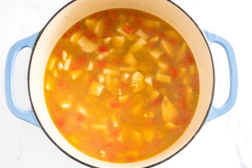 Chicken and veggies in broth in a large pot