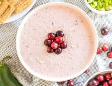 a bowl of cranberry jalapeno dip topped with cranberries