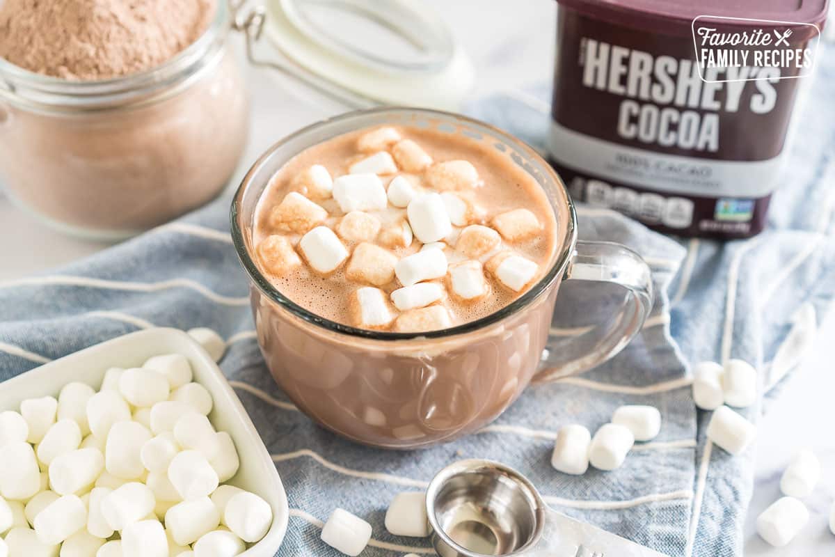 a mug of cocoa topped with marshmallows