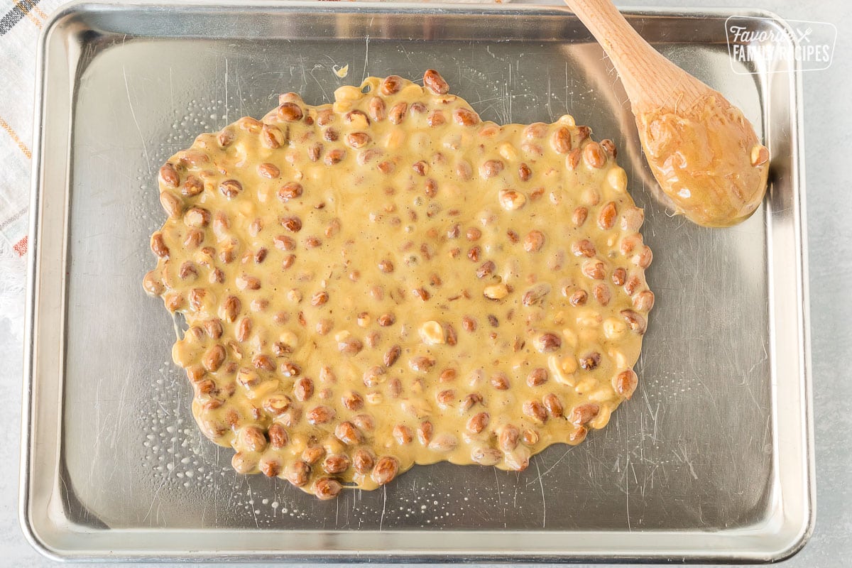 Peanut Brittle spread out on a greased baking sheet and a wooden spoon.