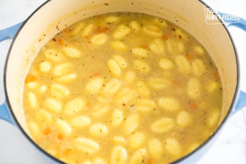 large pot with broth, meat, veggies, gnocchi, and spices