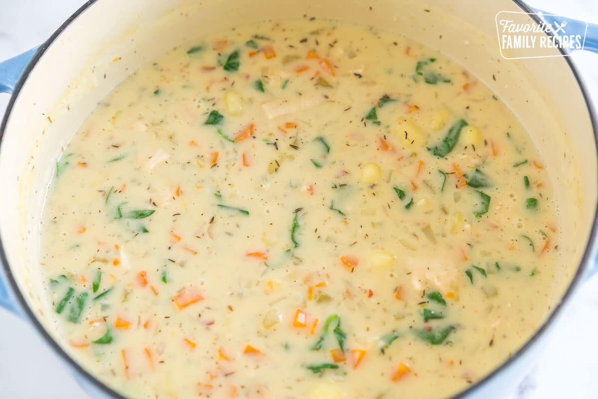 Chicken Gnocchi Soup in a pot