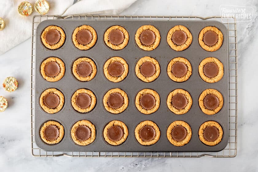 Reese's Peanut Butter Cups in baked peanut butter cookies in miniature muffin pan.