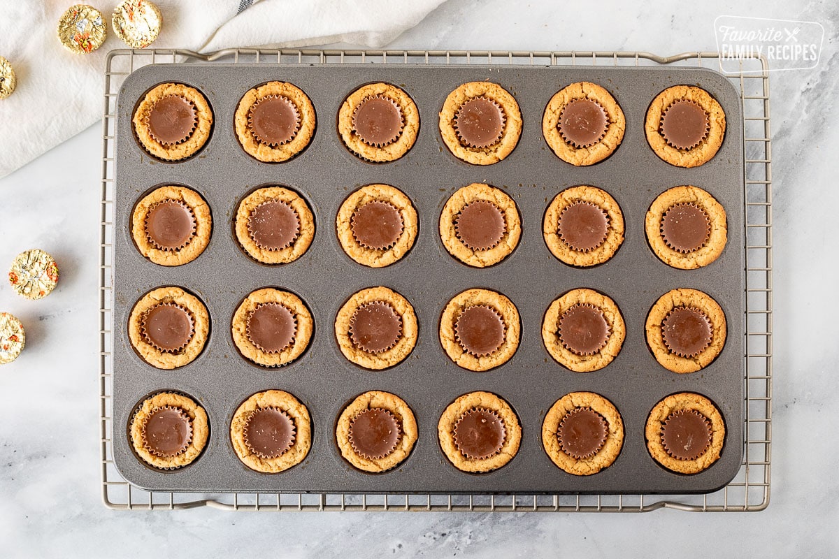 Reese's Peanut Butter Cups in baked peanut butter cookies in miniature muffin pan.