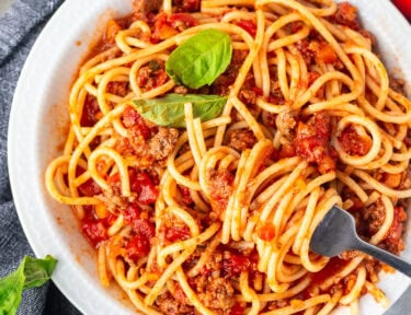 Twirled fork of Nick's Authentic Italian Spaghetti.