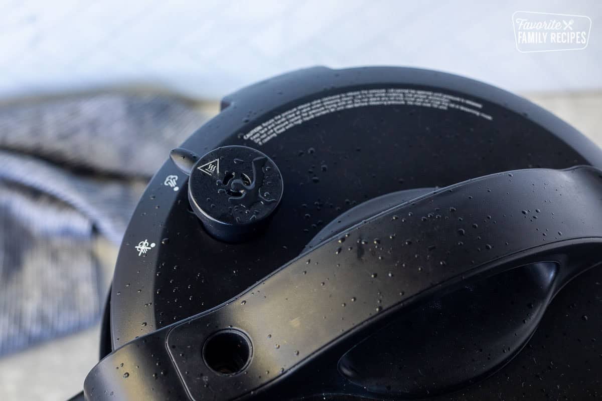 Quick release lever on an instant pot lid.