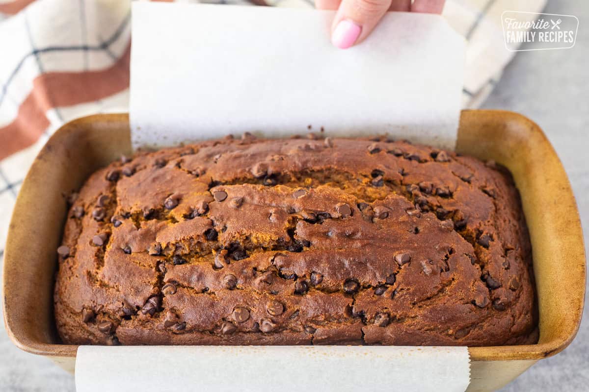 Lifting pumpkin chocolate chip bread up with parchment paper from the loaf pan.