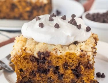 Slice of Pumpkin Coffee Cake with whipped cream and mini chocolate chips.