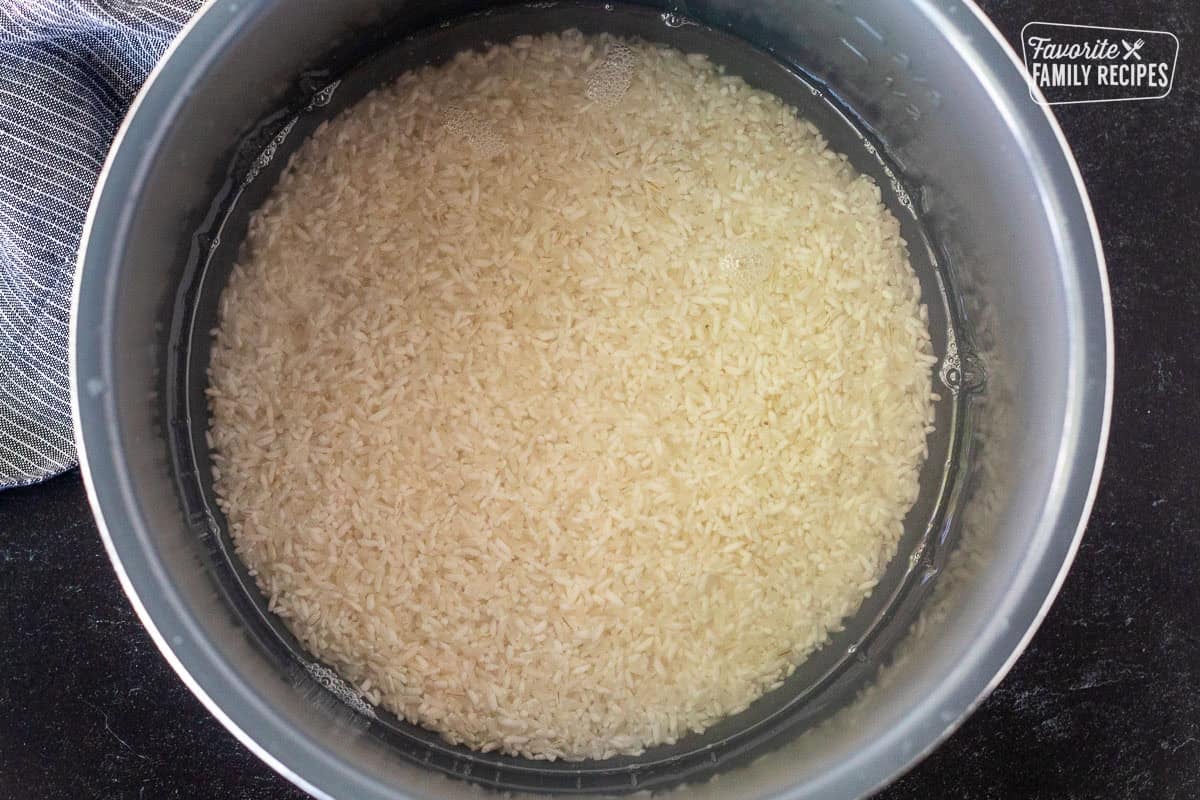 Rice and clear water in an instant pot.