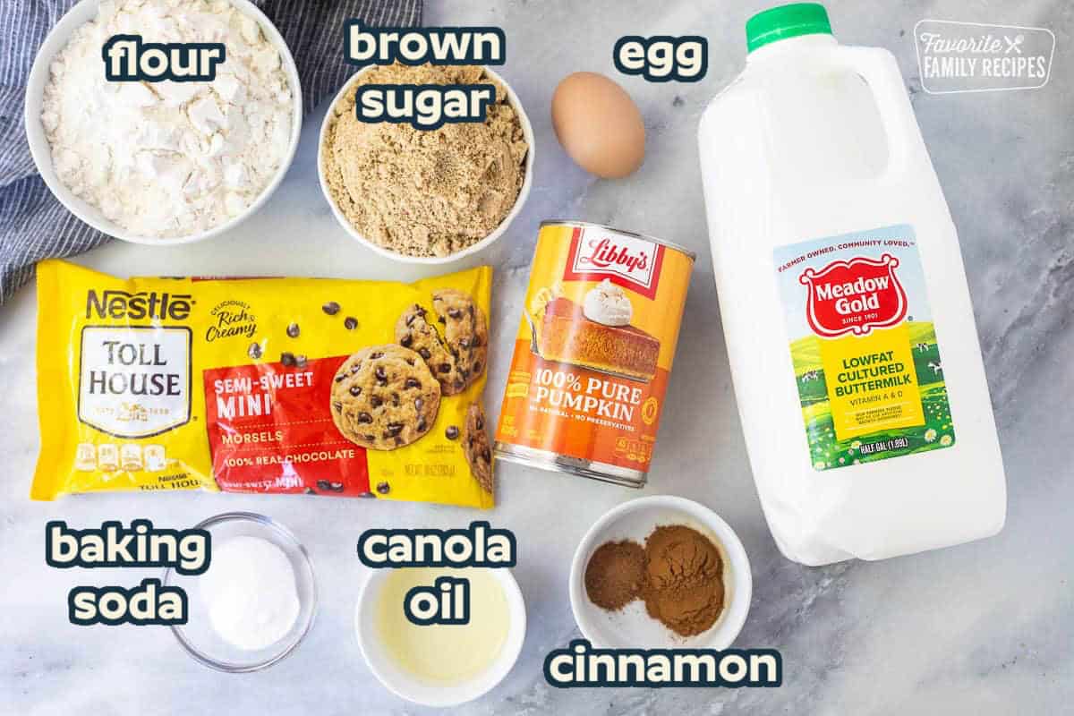 Ingredients to make Pumpkin Chocolate Chip Muffins: Pumpkin, Brown Sugar, Buttermilk, Egg, Cinnamon, Flour, Oil, Baking Soda.