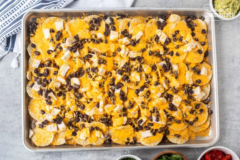 Melted cheese on top of oven nachos with chicken and black beans.