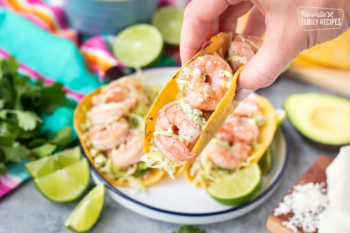 Holding a shrimp taco with cabbage slaw and avocado sauce.