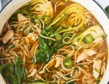 Pot with Chinese Chicken Noodle Soup.