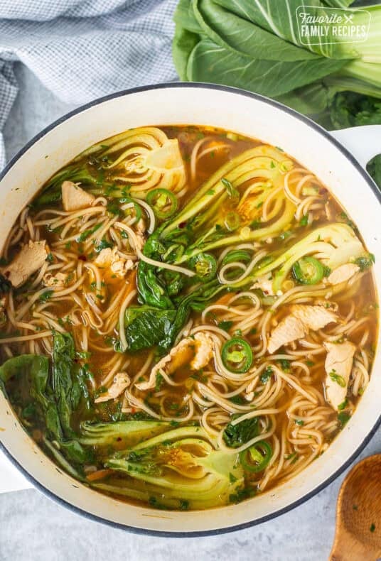 Pot with Chinese Chicken Noodle Soup.